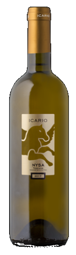Icario_Nysa_75